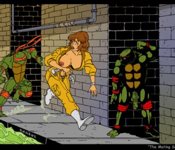 Teenage Mutant Ninja Turtles Porn Comics